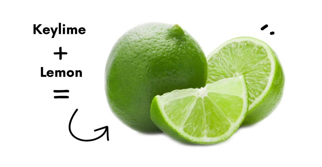 Learn about Our Premium Limes Limonik