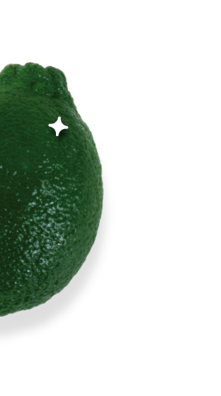 limonik_bg3