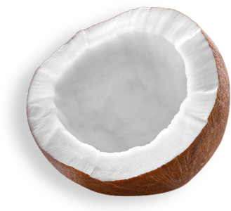 fruta04